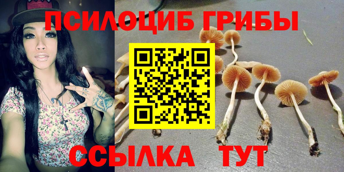 Галлюциногенные грибы GOLDEN TEACHER Людиново