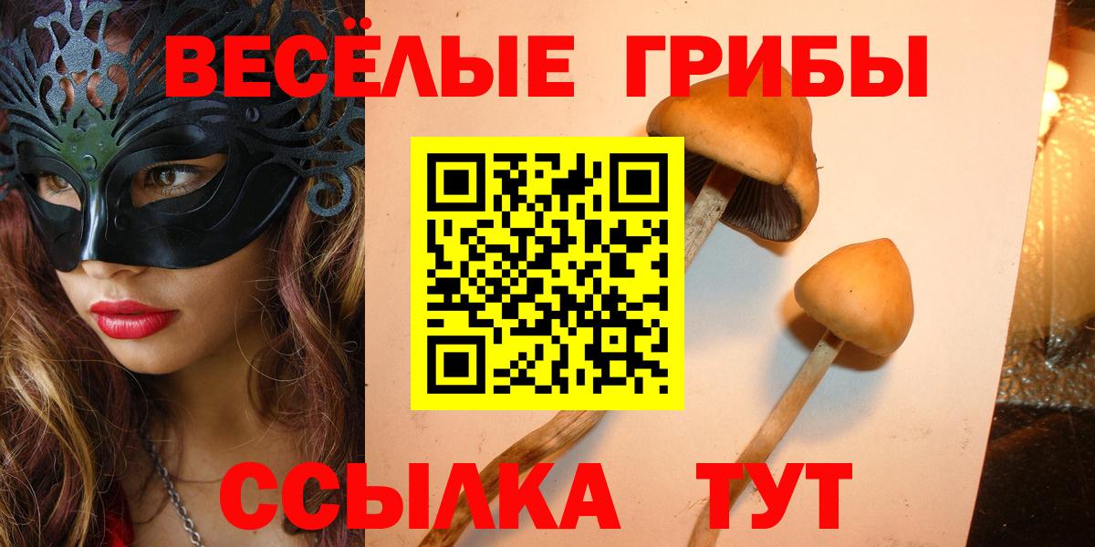 Людиново  ГАШ  COCAIN  Кодеин  Меф кристаллы  МАРИХУАНА  НБОМе  Вход с VPN  ГАШИШ 